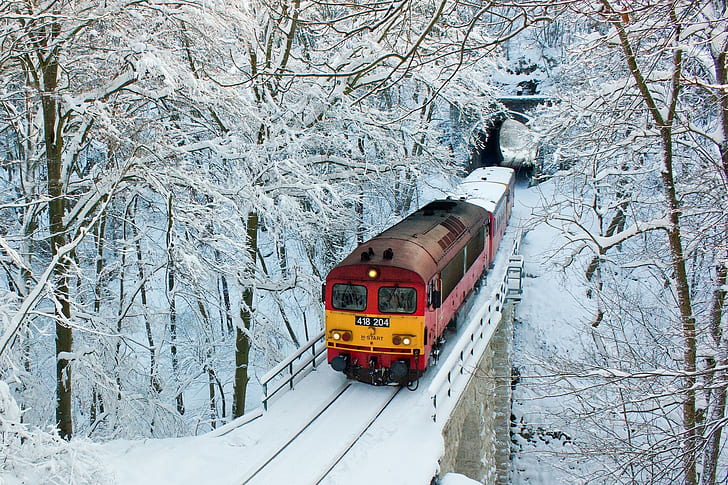 train, winter, tunnel, snow, trees