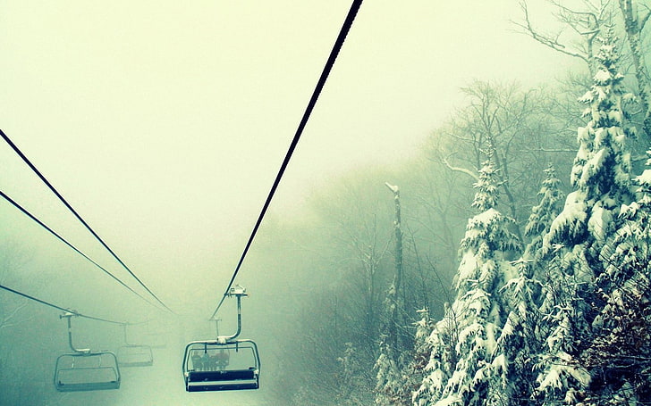 snow coated trees, nature, ski lift, mist, winter, cable car