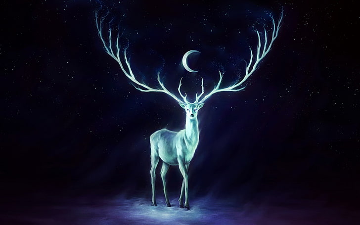 deer horns moon stars-Fantasy Design HD Wallpapers, gray deer digital wallpaper, HD wallpaper
