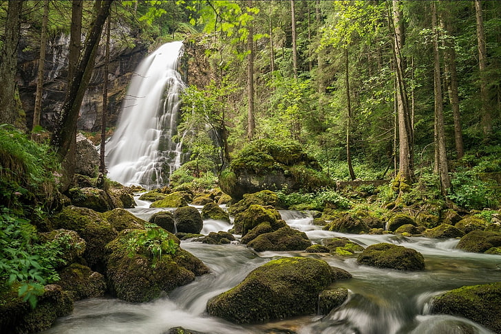 waterfalls scenery, forest, trees, moss, beauty in nature, long exposure, HD wallpaper