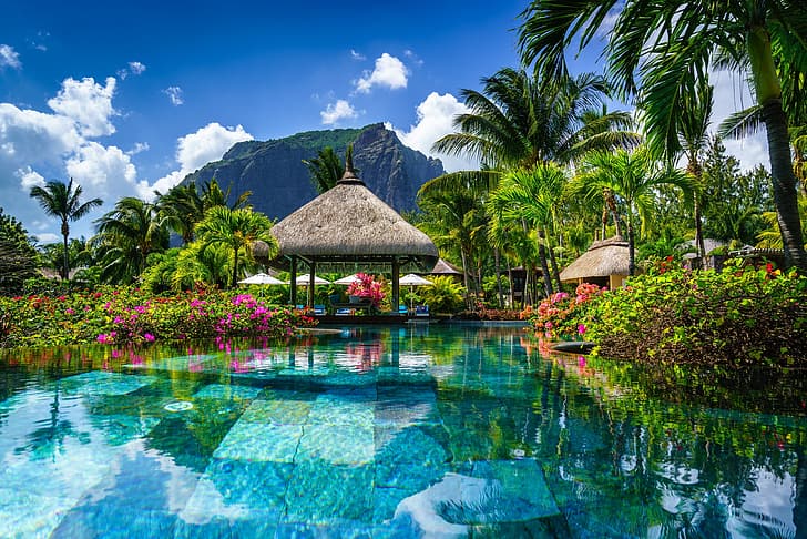 flowers, rock, palm trees, pool, gazebo, Mauritius, Le Morne, HD wallpaper