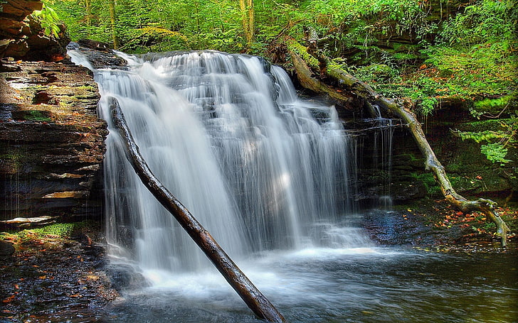 waterfalls on forest, grass, moss, river, nature, stream, tree, HD wallpaper