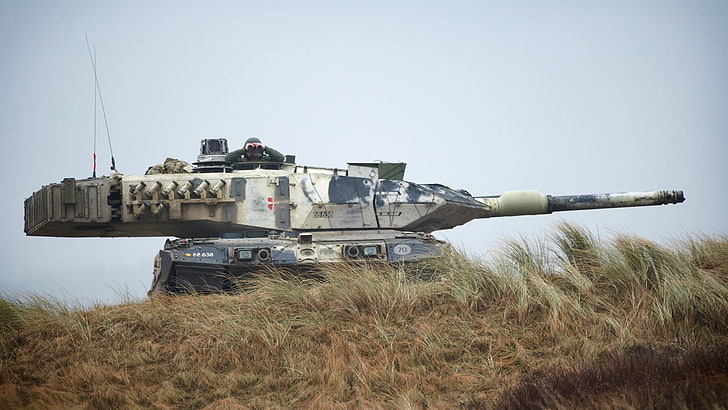 tank, Leopard 2, Denmark, military, weapon, grass, armed forces, HD wallpaper