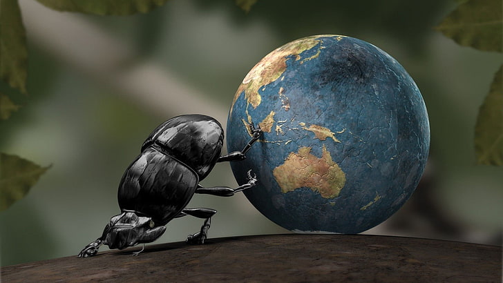 Earth, insect, CGI, Dung beetle, crabs, bird, one animal, animal wildlife