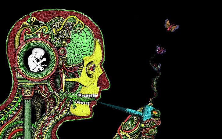 smoking man illustration, drugs, pipes, face, butterfly, brain