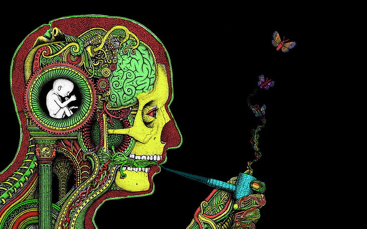 HD wallpaper: psychedelic, skull, smoking, brain, surreal, drugs, Rastafari  | Wallpaper Flare