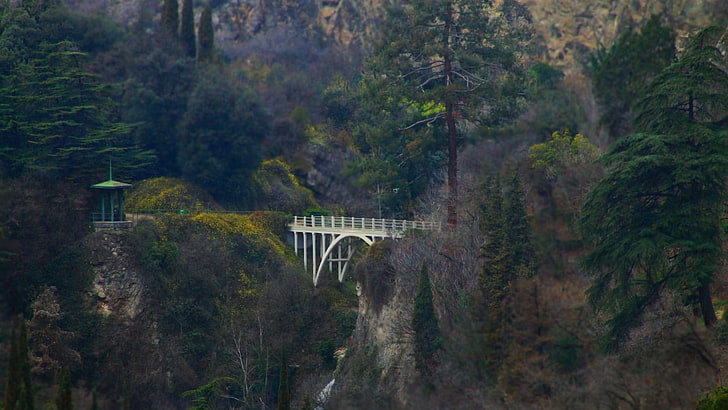 white metal bridge, photography, nature, landscape, trees, forest