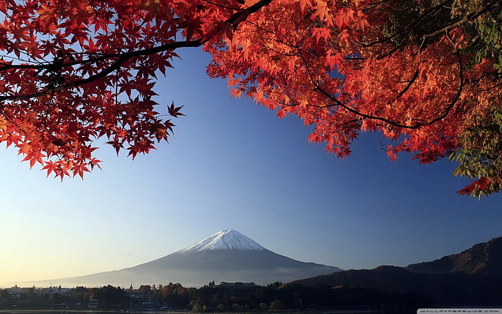 Mount Fuji, Japan, Fuji mountain, fall, trees, mountains, sky, HD wallpaper