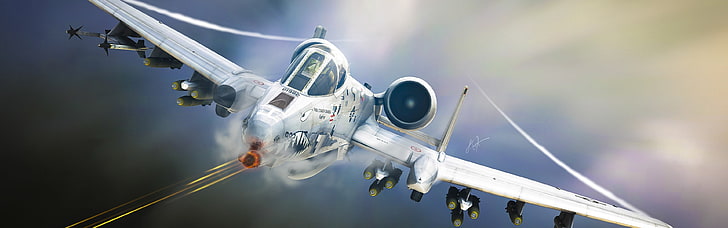 white aircraft digital wallpaper, Fairchild A-10 Thunderbolt II