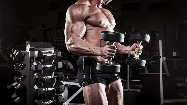 person holding dumbbells, men, sport , bodybuilding, Bodybuilder, HD wallpaper