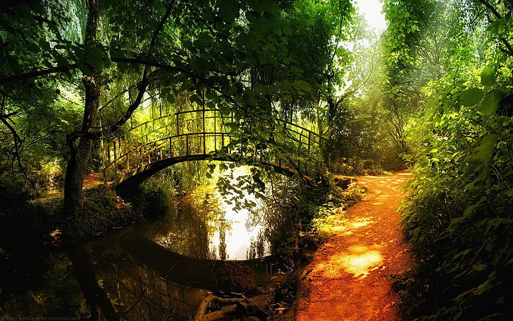 nature, landscape, bridge, path, trees, river, plants, forest, HD wallpaper
