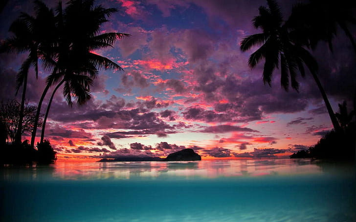 landscape, beach, sunset, tropical, nature, palm trees, water, HD wallpaper