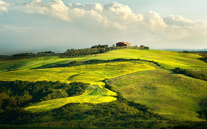 Tuscany prairie landscape theme wallpaper 08, green grassfield