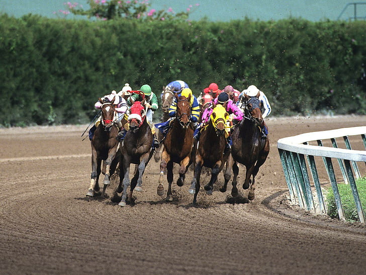 Horse Racing HD, sports, HD wallpaper