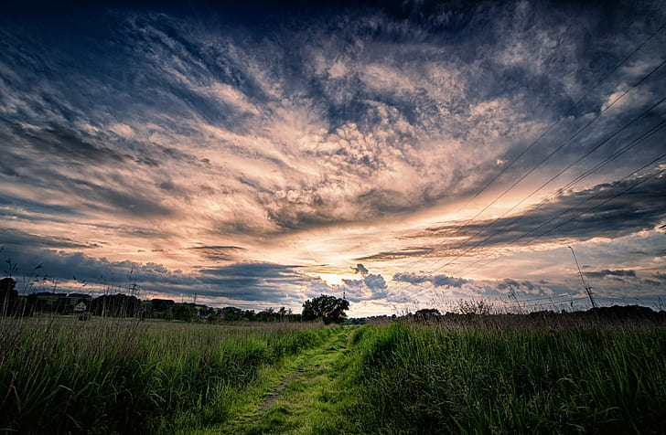 green grass field, Before the Storm, storm  clouds, sky, himmel, HD wallpaper