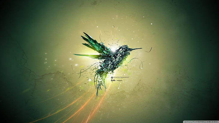 colibri (bird), Desktopography