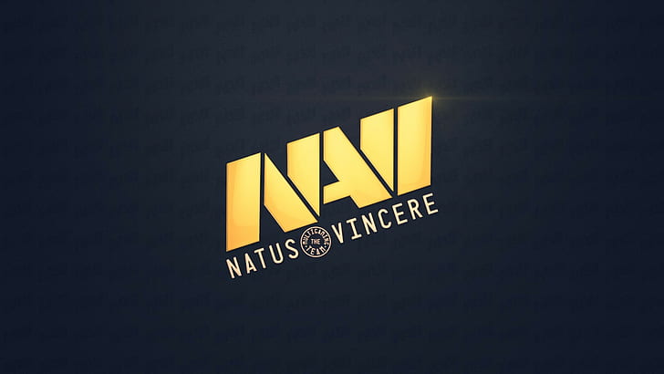 Dota 2, Na'vi, Natus Vincere, CS:GO, HD wallpaper