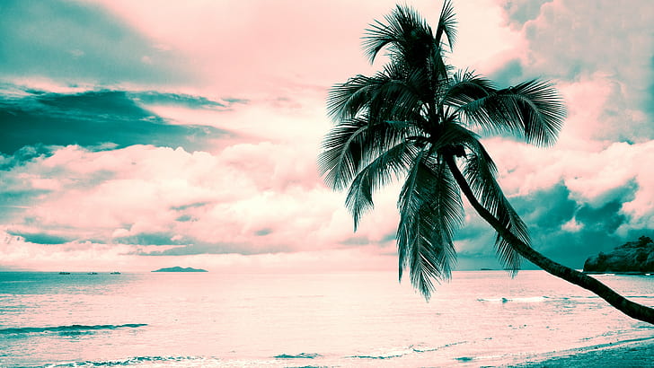 beach, clouds, Coconut palms, Pink, Pink clouds, Turquoise