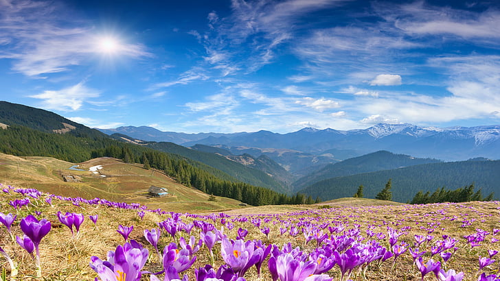 mountain range, landscape, daytime, sunny day, sunshine, blossom, HD wallpaper