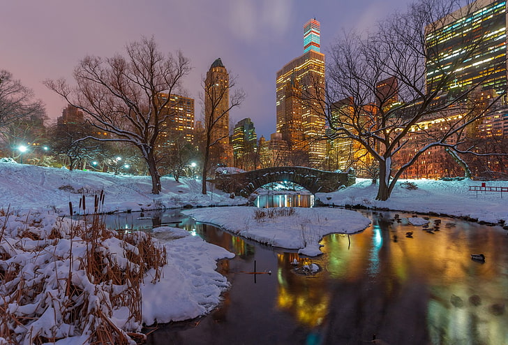 Man Made, Central Park, Bridge, New York, Night, Snow, USA, HD wallpaper