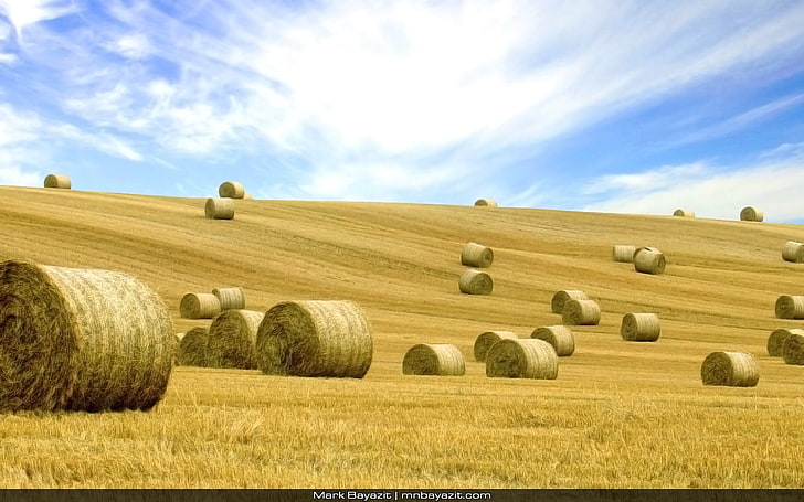 bay of hays wallpaper, landscape, haystacks, field, bale, agriculture, HD wallpaper