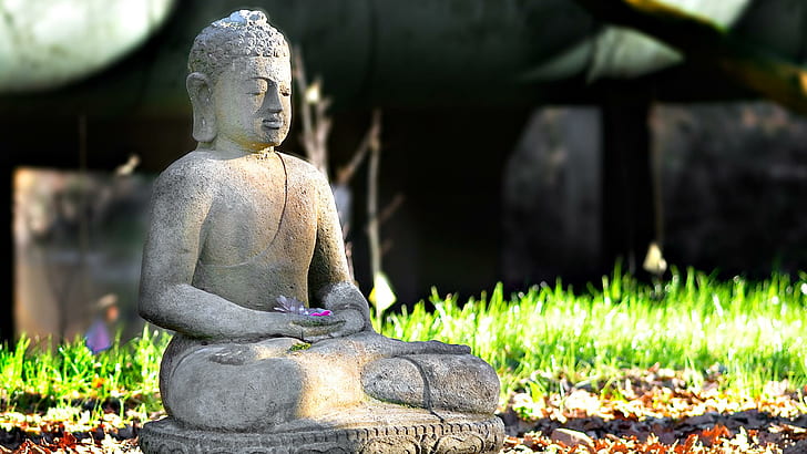 Buddha Profound Meditation, gautama buddha statue, animals