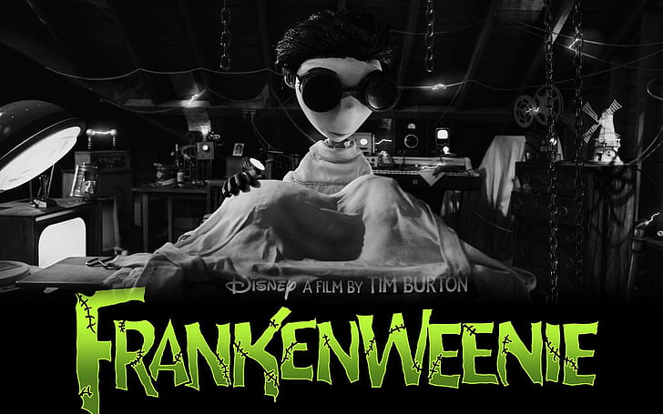 Frankenweenie Movie, disney a film by tim burton frankenweenie, HD wallpaper