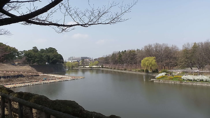 japan, nagoya, tree, water, plant, sky, architecture, nature, HD wallpaper