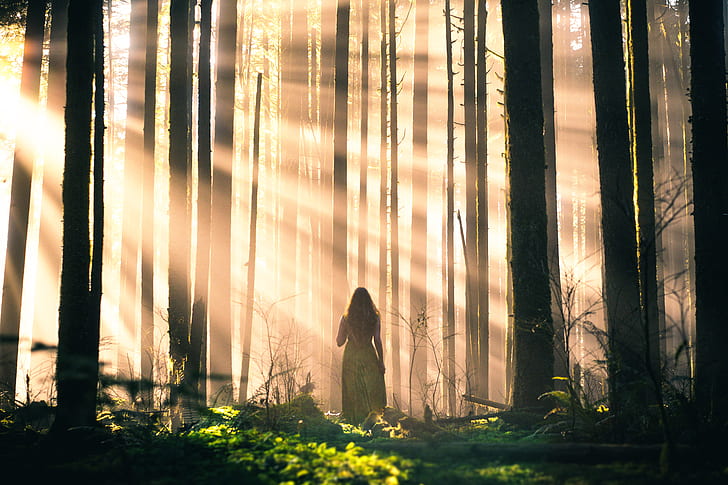 forest, girl, rays, trees, Lizzy Gadd, Sleepwalking, HD wallpaper