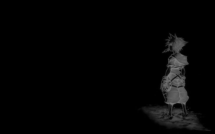 silhouette of male anime character wallpaper, Kingdom Hearts