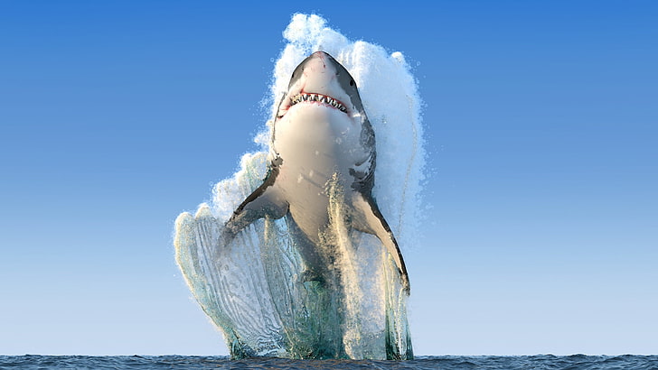 great white shark, animals, sea, jumping, fangs, horizon, clear sky, HD wallpaper