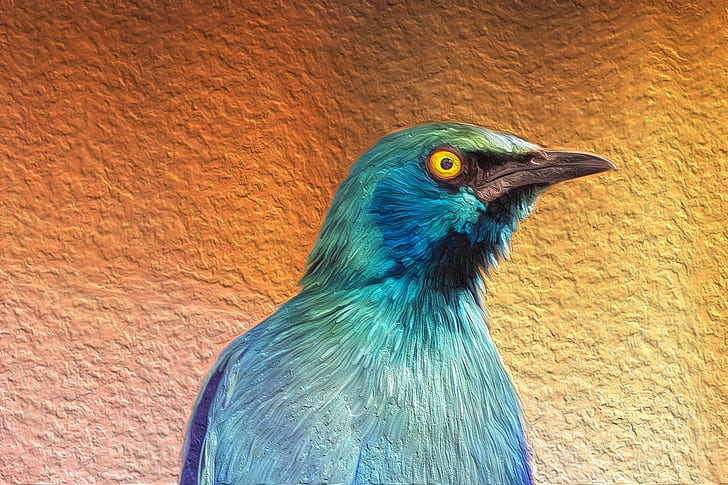 birds, blue, animals, painting, artwork