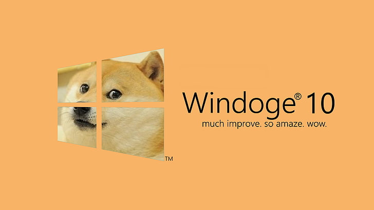 microsoft windows windows 10 doge dog memes, text, colored background, HD wallpaper