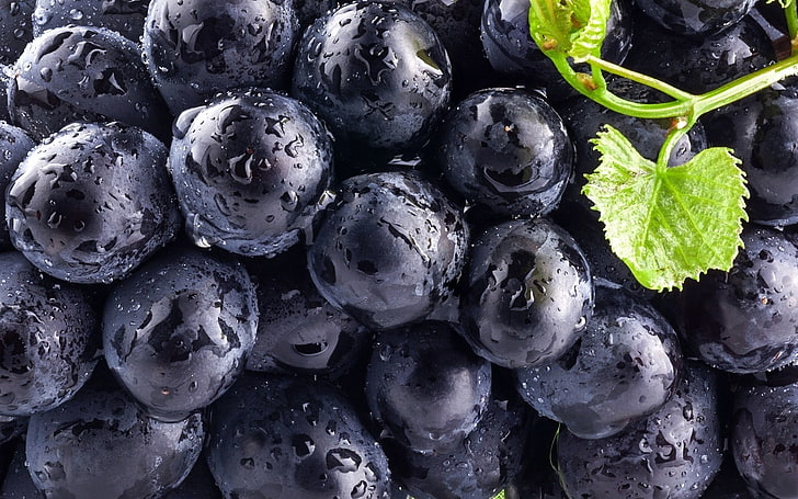 black grapes, blueberries, food, macro, fruit, water drops, freshness