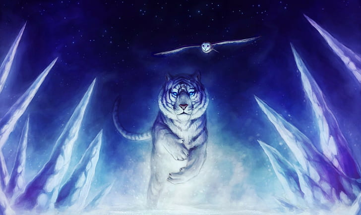 tiger, owl, animals, fantasy art, HD wallpaper