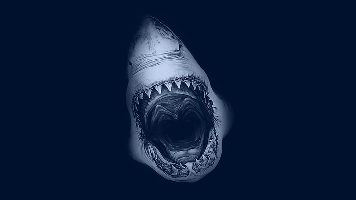 Great White Shark, HD wallpaper
