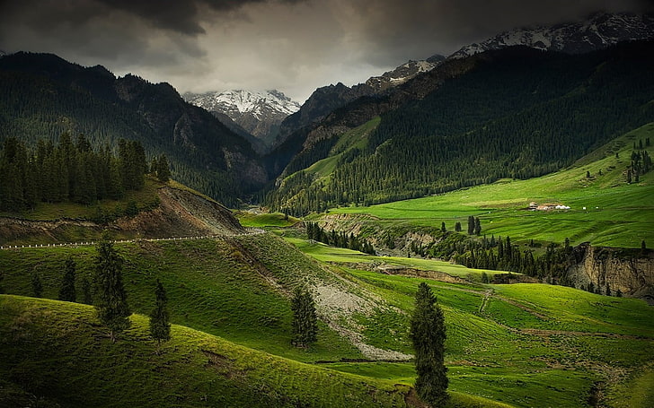 green grass field, mountains, valley, nature, landscape, forest
