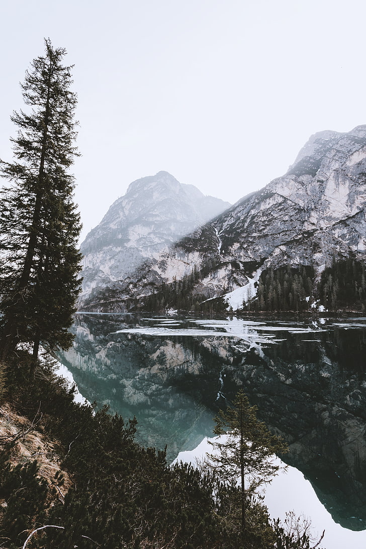 trees, body of water, and mountain, nature, snow, mountains, beauty in nature