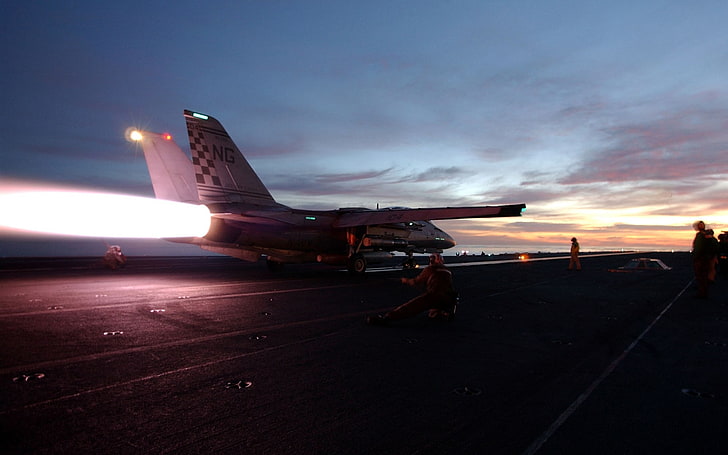 F-14 Tomcat, aircraft, aircraft carrier, navy, military aircraft