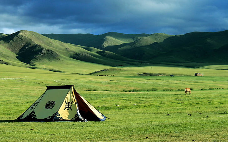 field, landscape, nature, steppe, hills, tent, Mongolia, HD wallpaper