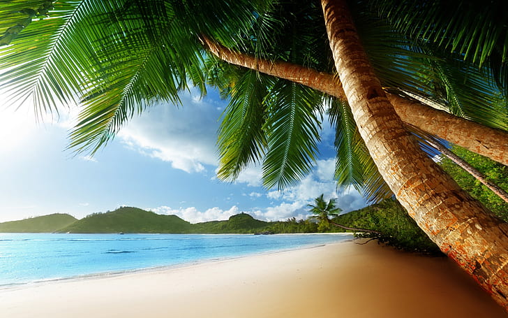 Exotic Palm Island, beach, blue sea, summer landscape, HD wallpaper