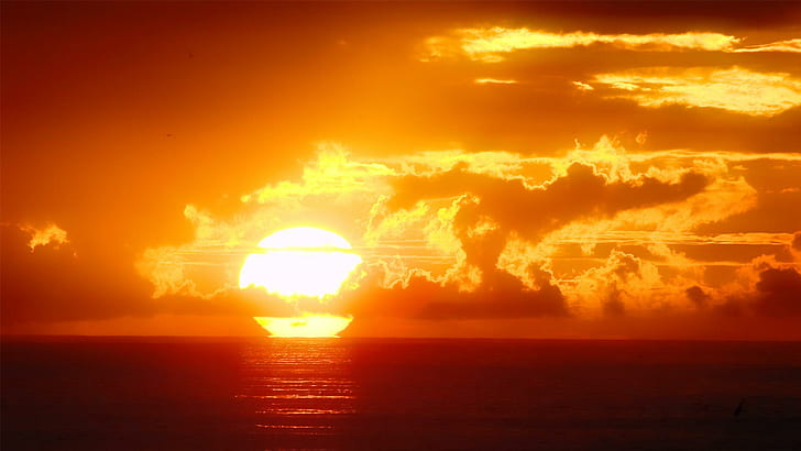 Love In The Evening, sunset over the horizon, orange, 1920 x 1080