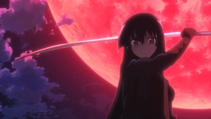 black haired female anime character holding sword wallpaper, Akame ga Kill!