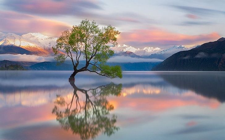 New Zealand Landscape Wallpapers - Top Free New Zealand Landscape  Backgrounds - WallpaperAccess