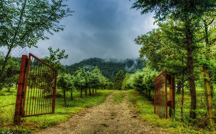 A Gate to the Imagination, Nature, Landscape, iran, forest, motel ghu, HD wallpaper