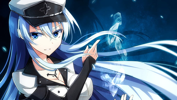 HD wallpaper: blue-haired female anime character, Akame ga Kill!, Esdeath,  ice