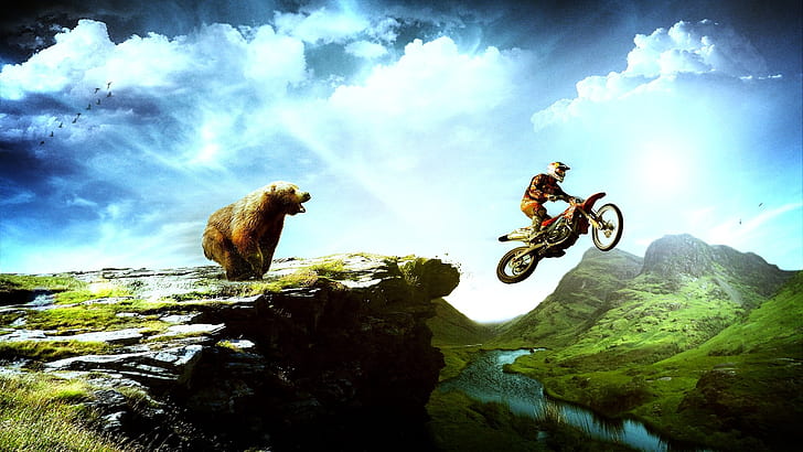 Bear and the motorcycle chase, HD wallpaper