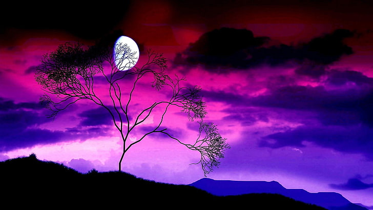 evening, moonlit, moonlight, luna, branch, waxing moon, night, HD wallpaper
