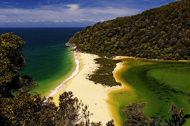 Abel,tasman~national Park, island, beautiful, beach, trees, green water, HD wallpaper