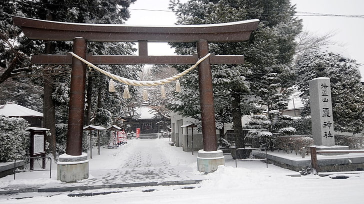 brown shrine, winter, Japan, snow, cold temperature, tree, plant